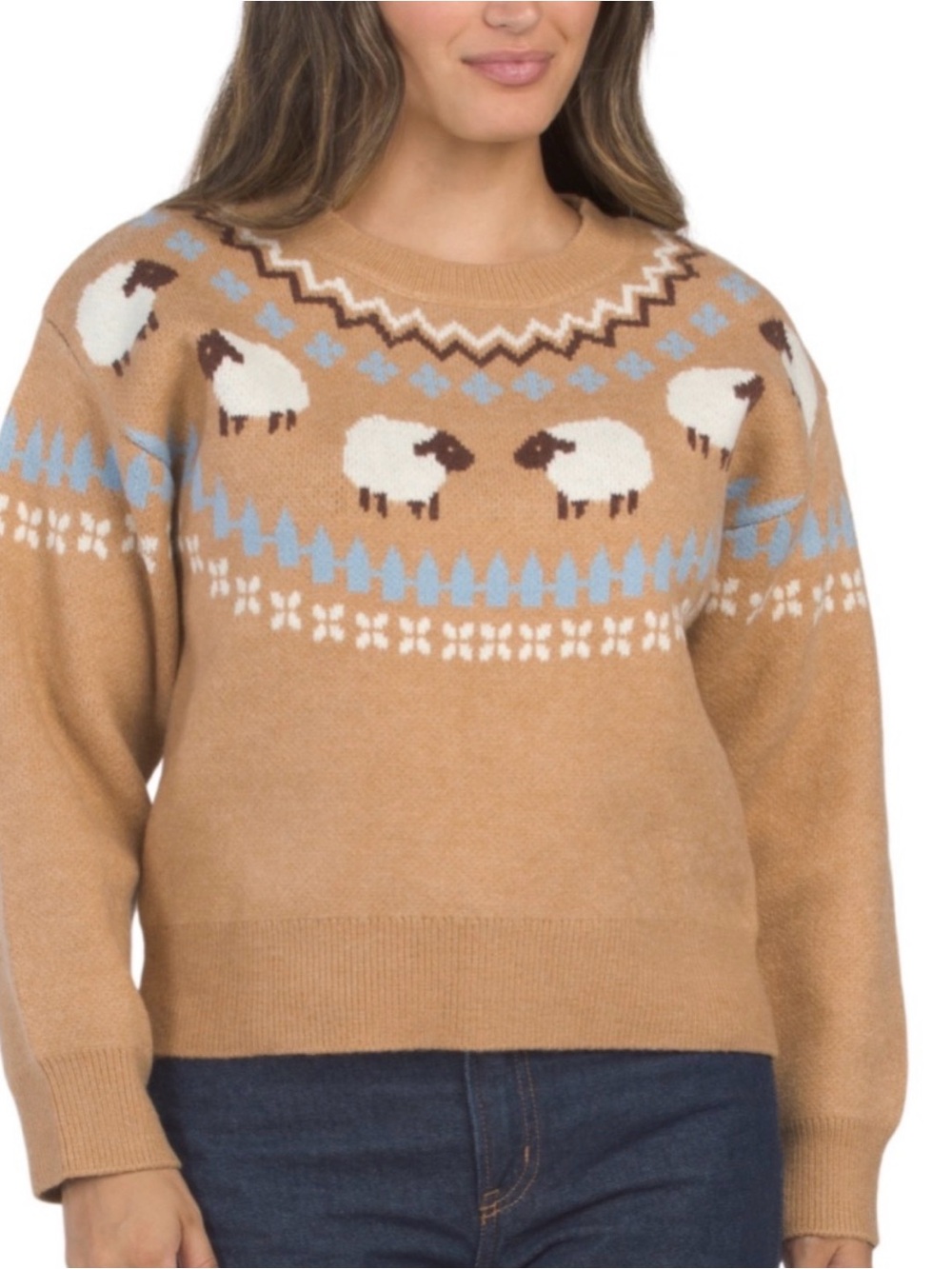 English Factory Sheep Fair Isle Sweater NEW  Size Medium